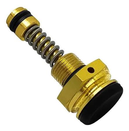 Kit Reparo Pistao de Controle KARCHER